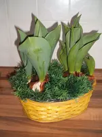 DSCF3979.webp DSCF3979.webp
