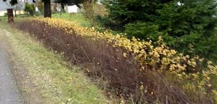 Bild 2.webp