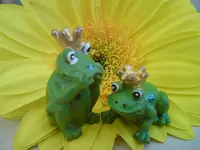 DSC00835.webp