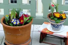 DSCF0389.webp