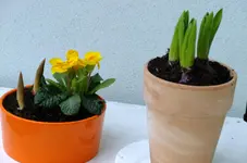 DSCF0390.webp