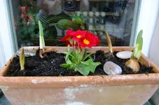 DSCF0391.webp