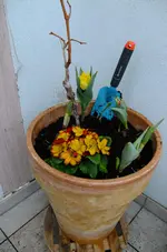 DSCF0392.webp