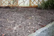 20100223143100.webp