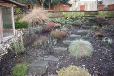 20100223143142.webp