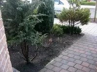 Vorgarten.webp