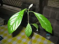 foto2.webp