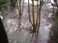 PIC00109.webp