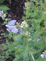 garten09 004.webp