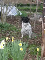 Garten 09 009.webp
