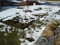 Februargarten 4.webp