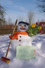 winterade.webp