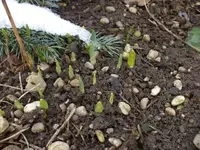 DSCF3653.webp