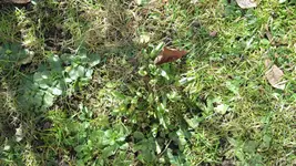 IMG_0391.webp