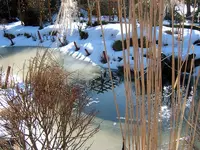 SA500214.webp