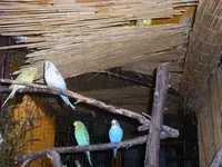 SL376811.webp