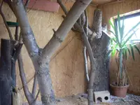 SL376817.webp