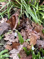 IMG_1954(3).webp