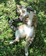IMG_5386 v (2).JPG