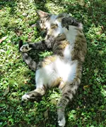 IMG_5386 v (2).webp