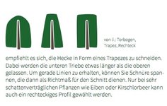 Heckenschnitt_Hecken-Profile_Trapez-Profil.jpg