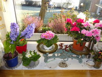 DSC02782.JPG