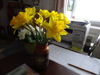 DSC02787.JPG