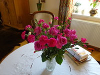 DSC02786.JPG
