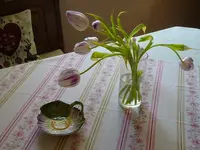 DSC02784.webp