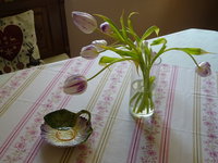 DSC02784.JPG
