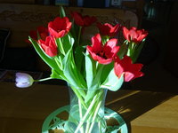 DSC02783.JPG