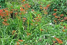 IMG_5799 v (2).webp