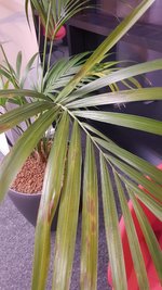 20230208_065757.jpg
