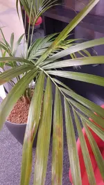 20230208_065757.webp