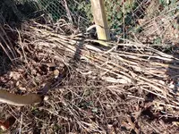 IMG_20230207_152208.webp