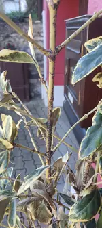 20230208_153105.webp