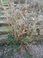 DSC00260.webp DSC00260.webp