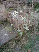 DSC00262.webp DSC00262.webp