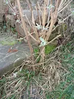 DSC00263.webp DSC00263.webp