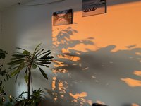 574062CF-7EA9-4C9C-AA9B-0DC833C62AA0.jpeg