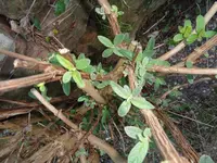 DSC00264.webp DSC00264.webp