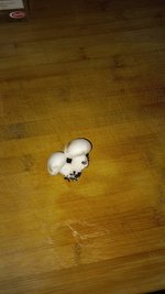 IMG-20230208-WA0001.jpeg