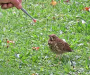 IMG_4804.webp