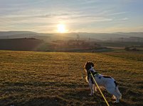 IMG_20230206_162419.jpg