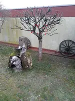 20230212_154651.webp