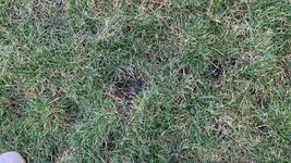 IMG_2677.webp