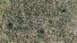 IMG_2676.webp