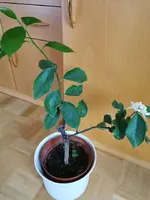 IMG_20230213_150759.webp