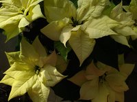 IMG_20230212_143608.jpg