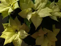 IMG_20230212_143608.webp